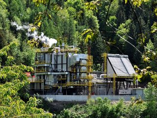 Biomass plant